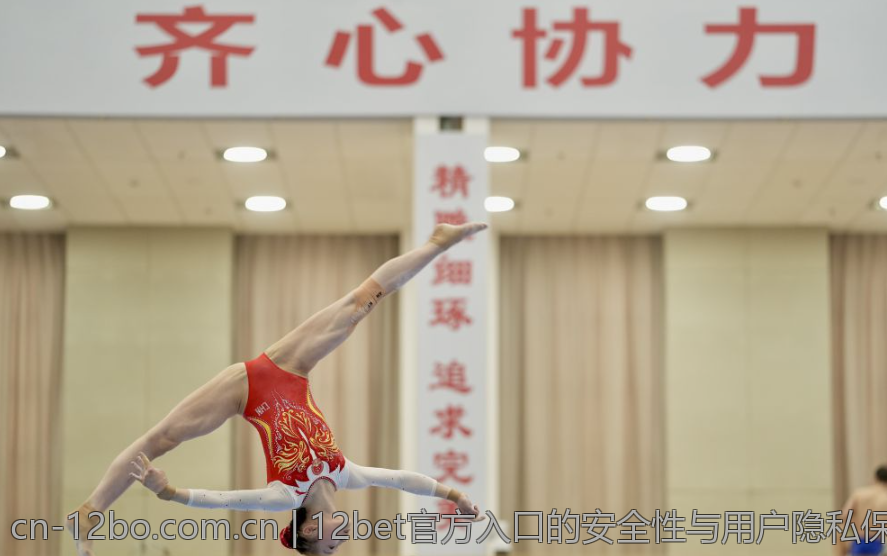 12bet官方入口的安全性与用户隐私保护探索